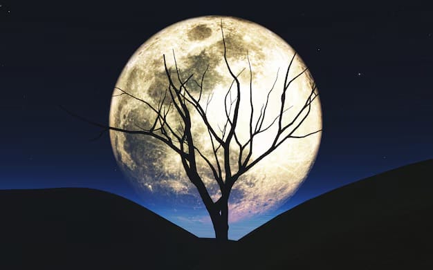 Love me some MOON energy