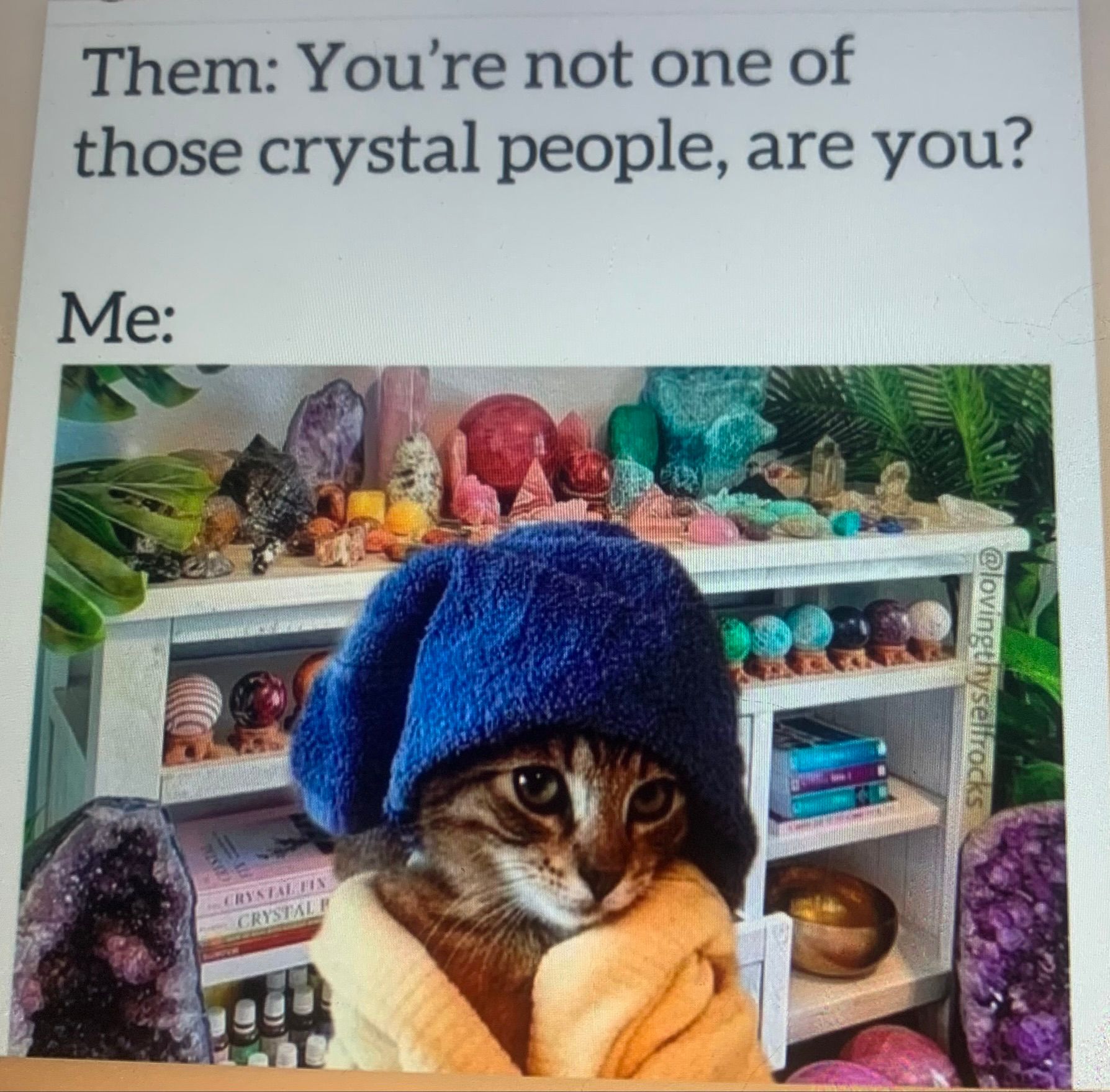 Yes, yes I am